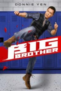 Download Big Brother (2018) {Chinese With English Subtitles} BluRay 480p [500MB] || 720p [900MB] || 1080p [2.1GB]