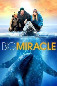 Download Big Miracle (2012) Dual Audio (Hindi-English) Bluray 480p [350MB] || 720p [950MB] || 1080p [2.2GB]