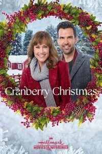 Download Cranberry Christmas (2020) {English With Subtitles} 480p [300MB] || 720p [800MB] || 1080p [1.7GB]