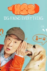 Download Dog Knows Everything (Season 1) [S01E08 Added] {Korean With Subtitles} WeB-DL 720p [420MB]