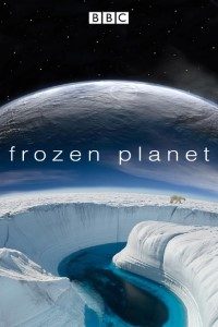 Download Frozen Planet (Season 1) Dual Audio {Hindi-English} With Esubs WeB-DL 720p 10Bit [280MB] || 1080p [1GB]