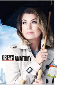 Download Grey’s Anatomy (Season 1-18) [S18E20 Added] {English With Subtitles} 720p Bluray [280MB]