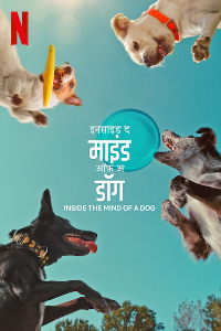 Download Inside The Mind Of A Dog (2024) Dual Audio (Hindi-English) Web-Dl 480p [250MB] || 720p [680MB] || 1080p [1.6GB]