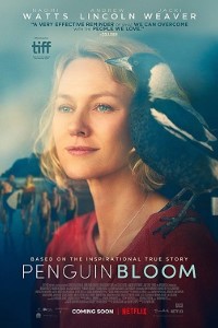 Download Penguin Bloom (2021) {English With Subtitles} 480p [400MB] || 720p [900MB] || 1080p [1.6GB]