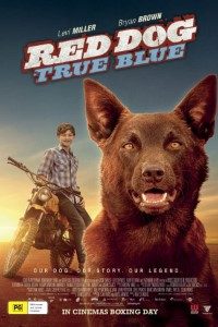 Download Red Dog: True Blue 2016 {English With Subtitles} 720p [650MB] || 1080p [1.3GB]