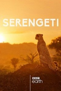 Download Serengeti (Season 1) {English With Subtitles} WeB-DL 720p [470MB] || 1080p [1.3GB]
