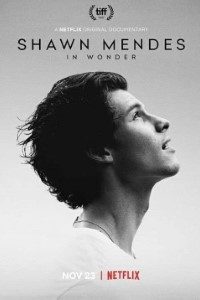 Download Shawn Mendes: In Wonder (2020) {English With Subtitles} 480p [350MB] || 720p [750MB] || 1080p [1.6GB]