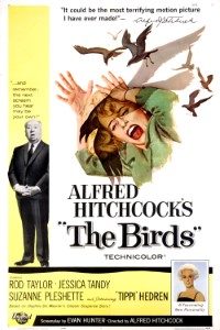 Download The Birds (1963) {English With Subtitles} 480p [500MB] || 720p [999MB] || 1080p [2GB]
