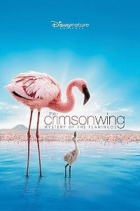 Download The Crimson Wing Mystery of the Flamingos (2008) Dual Audio (Hindi-English) 480p [300MB] || 720p [1GB]