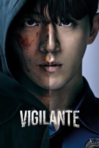 Download Vigilante (Season 1) Dual Audio (English-Korean) Esub WeB-DL 720p [400MB] || 1080p [2GB]